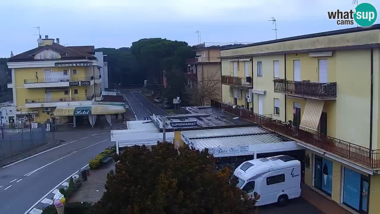 Camera en vivo Rosolina mare