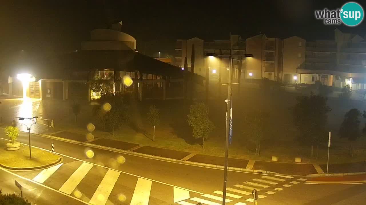 Livecam Rosolina mare