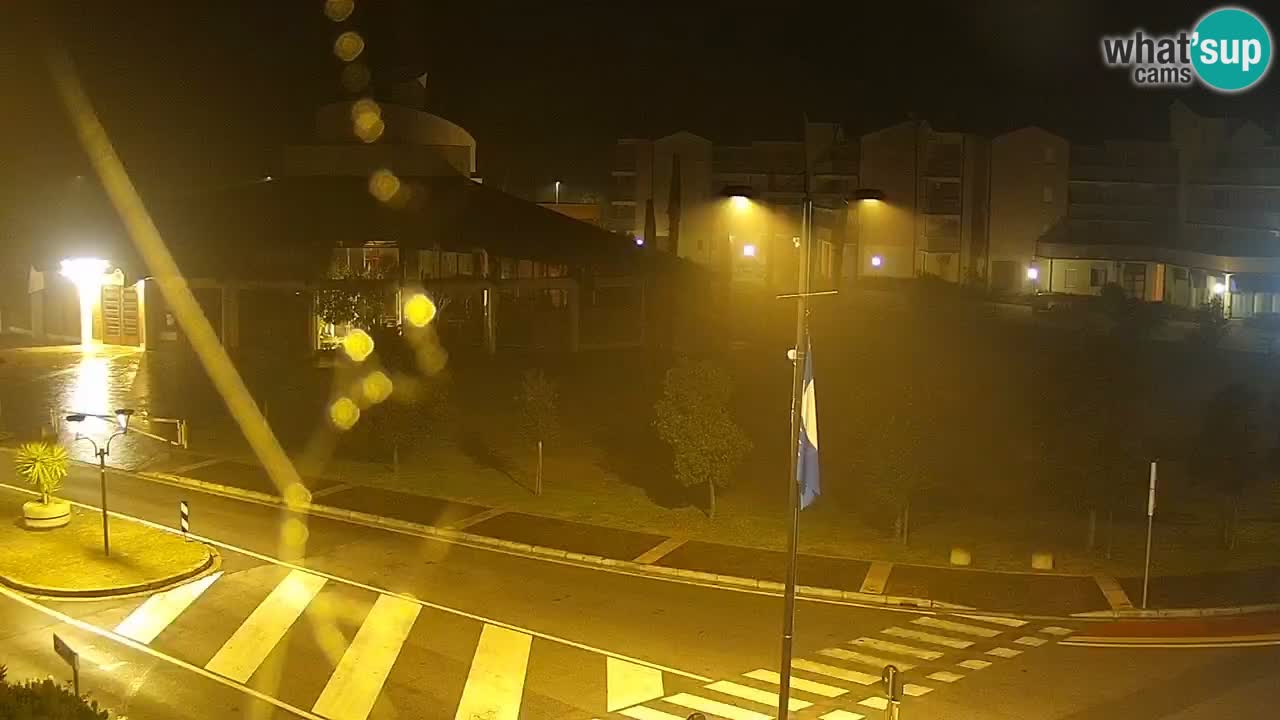 Camera en vivo Rosolina mare