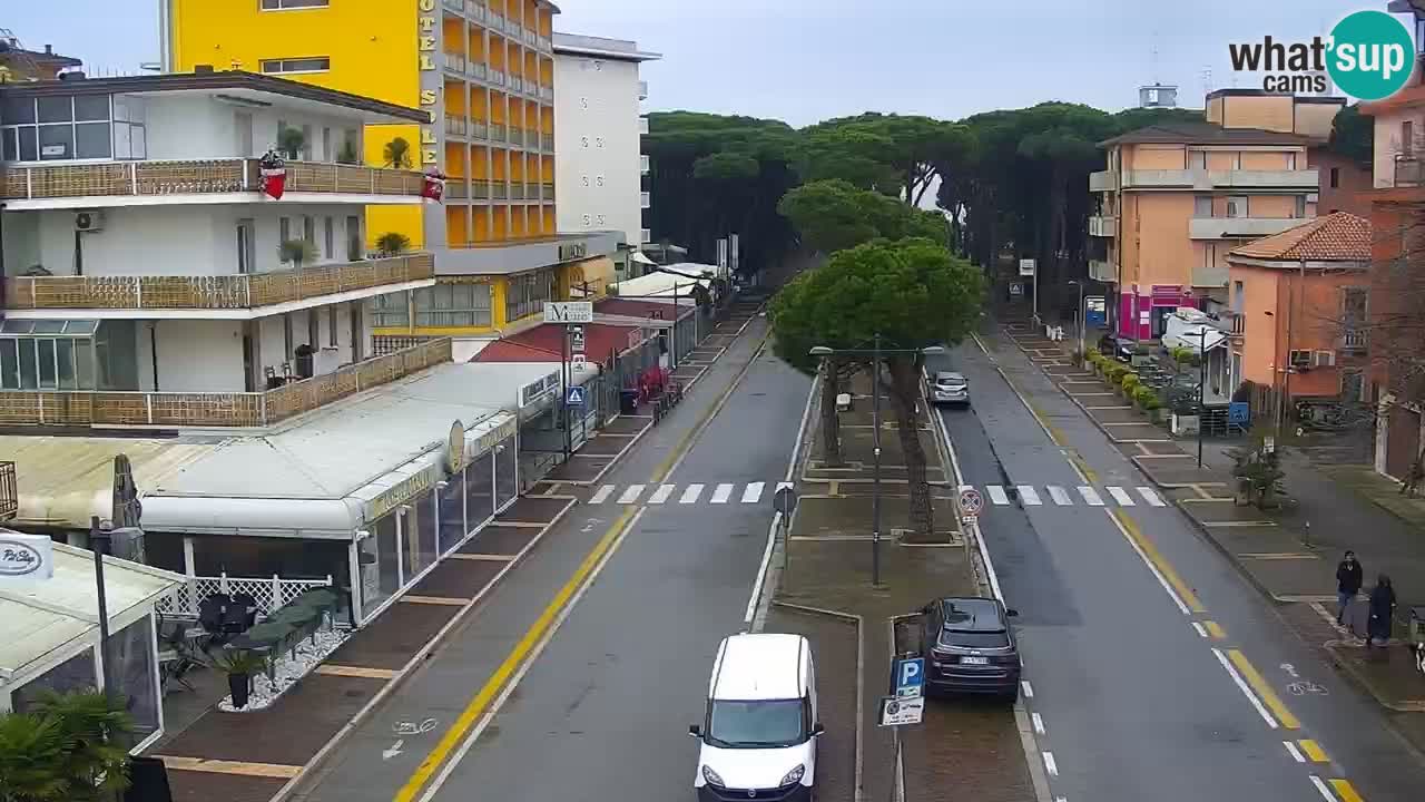 Livecam Rosolina mare