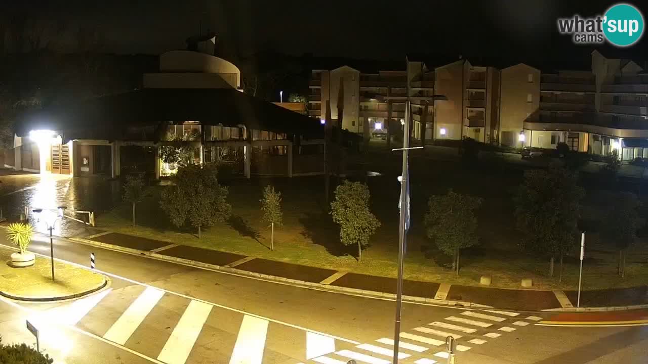 Livecam Rosolina mare