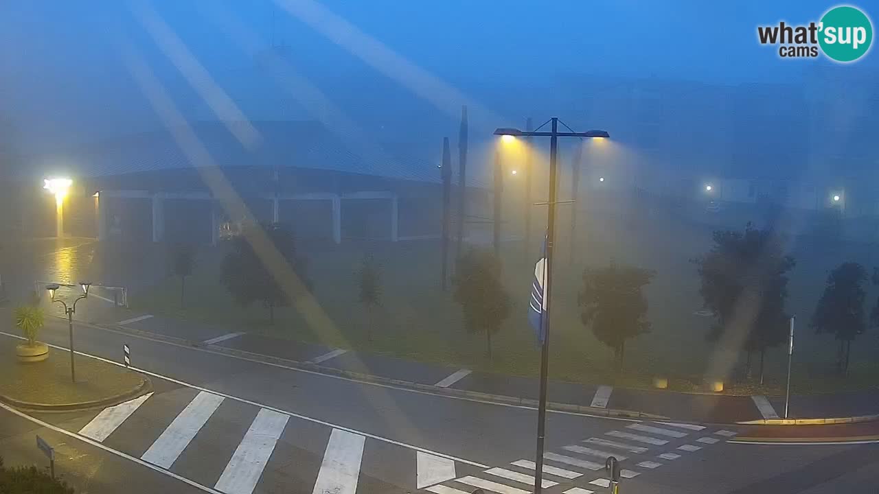 Camera en vivo Rosolina mare