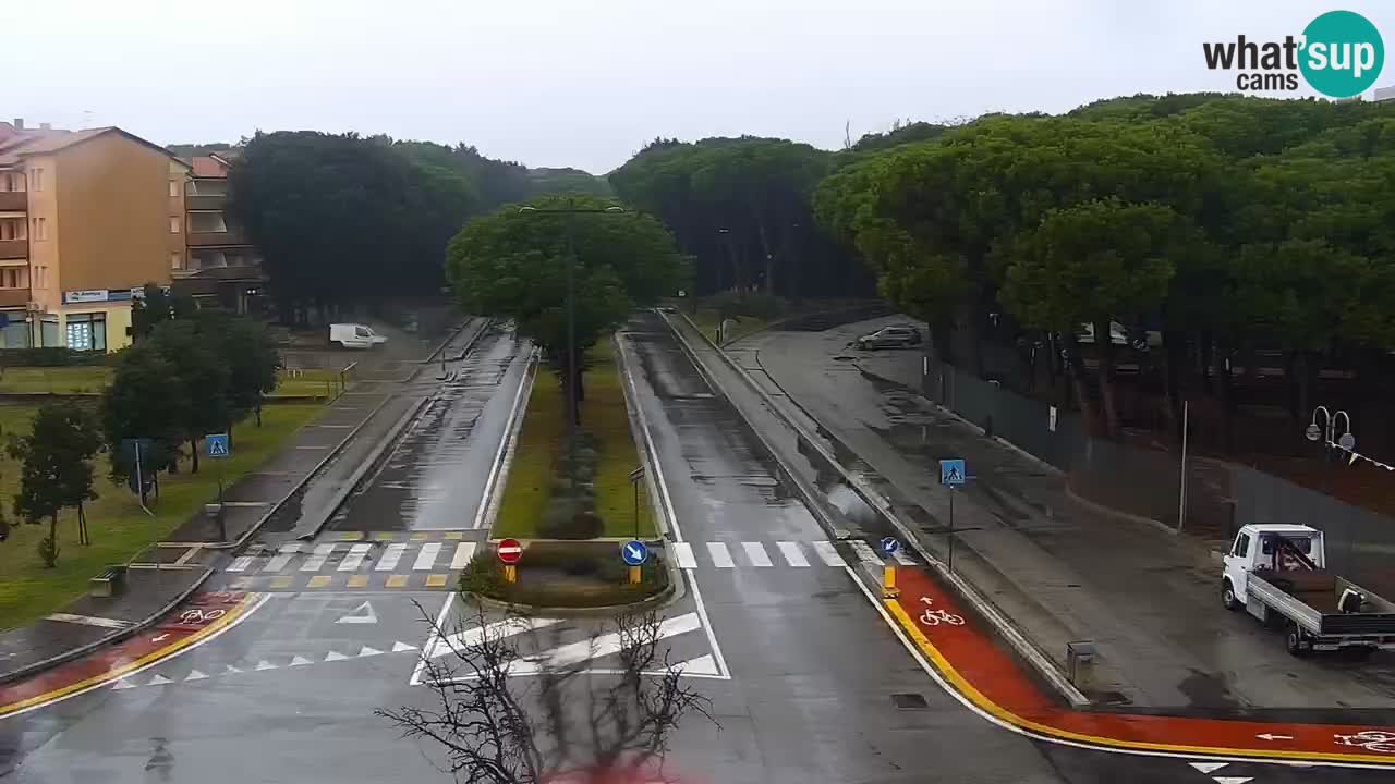 Livecam Rosolina mare