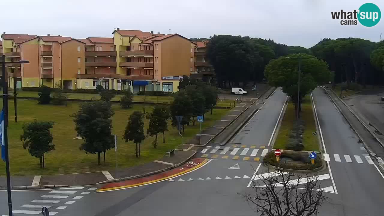 Livecam Rosolina mare