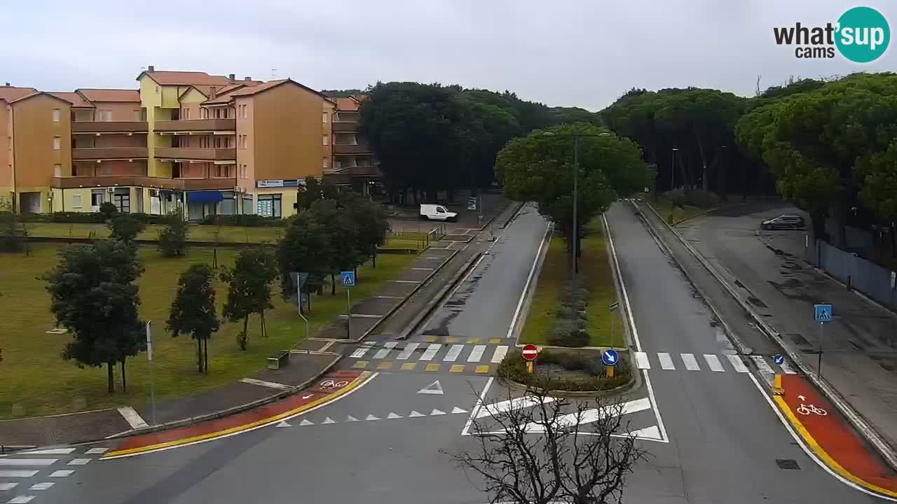 Camera en vivo Rosolina mare