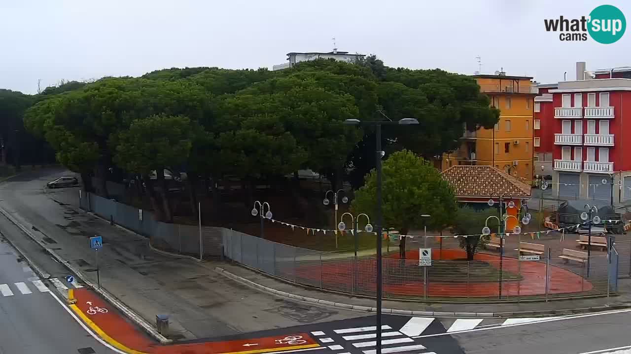 Livecam Rosolina mare