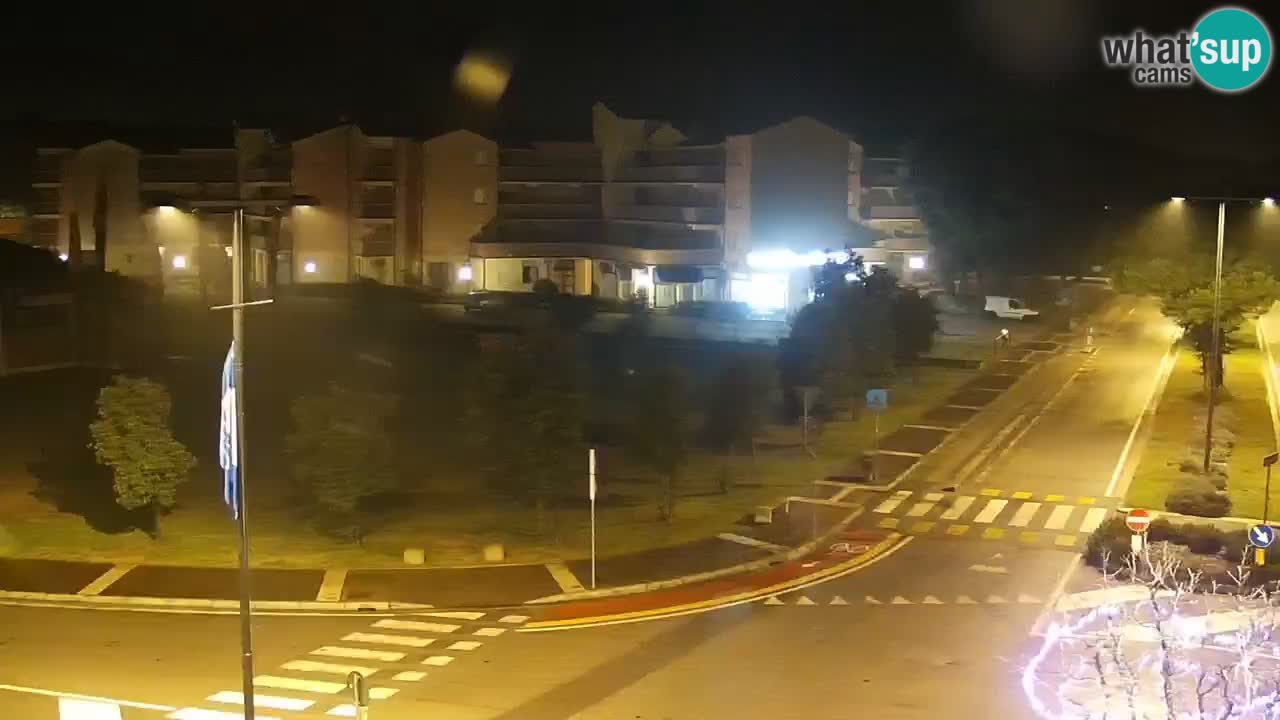 Camera en vivo Rosolina mare