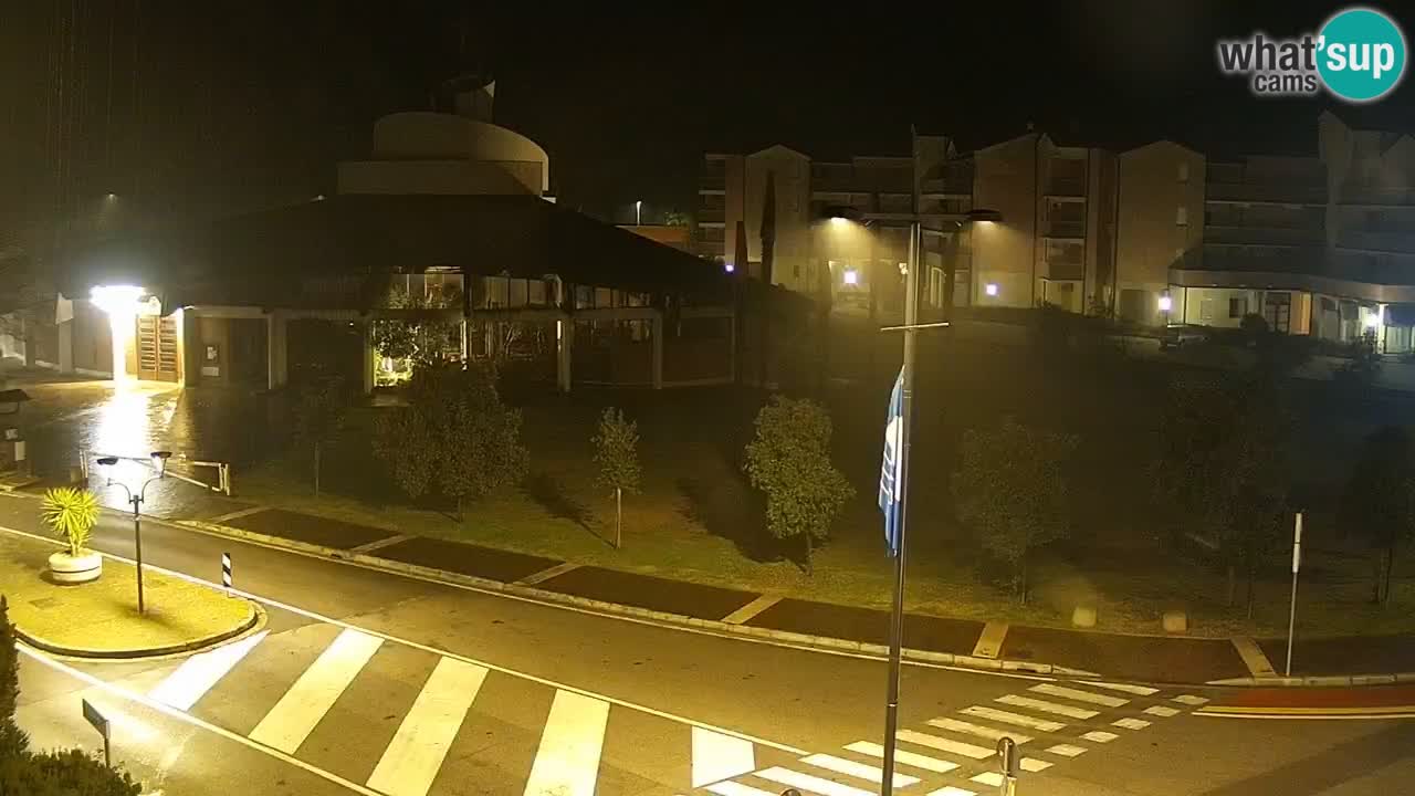 Livecam Rosolina mare