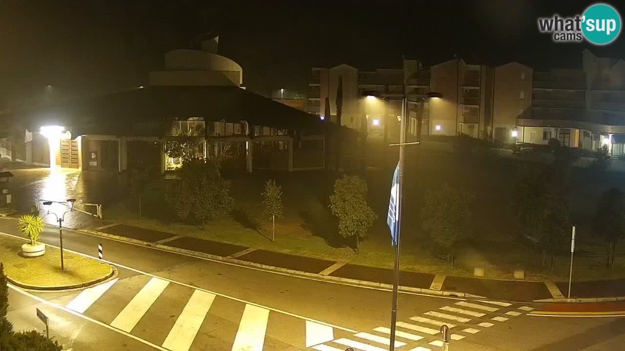 Livecam Rosolina mare