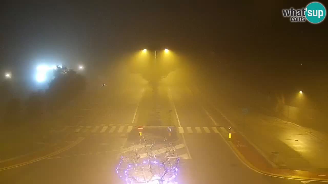 Camera en vivo Rosolina mare