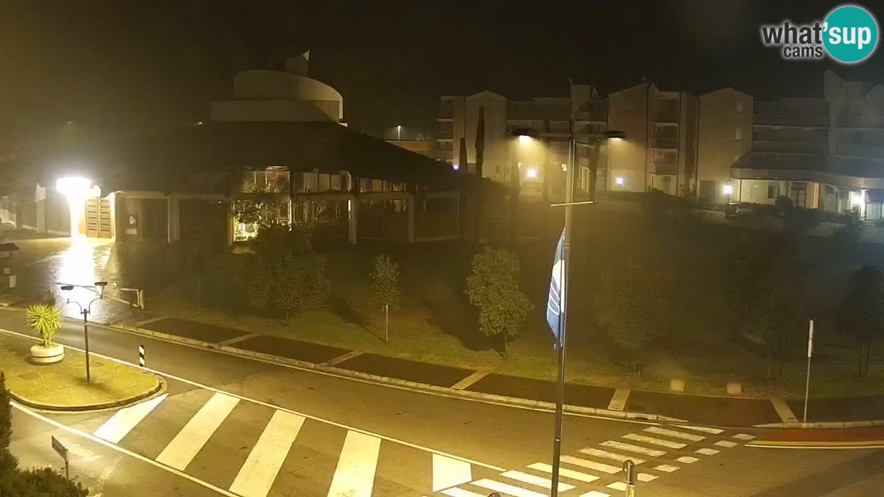 Livecam Rosolina mare