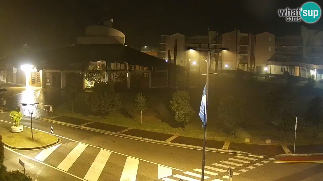 Camera en vivo Rosolina mare