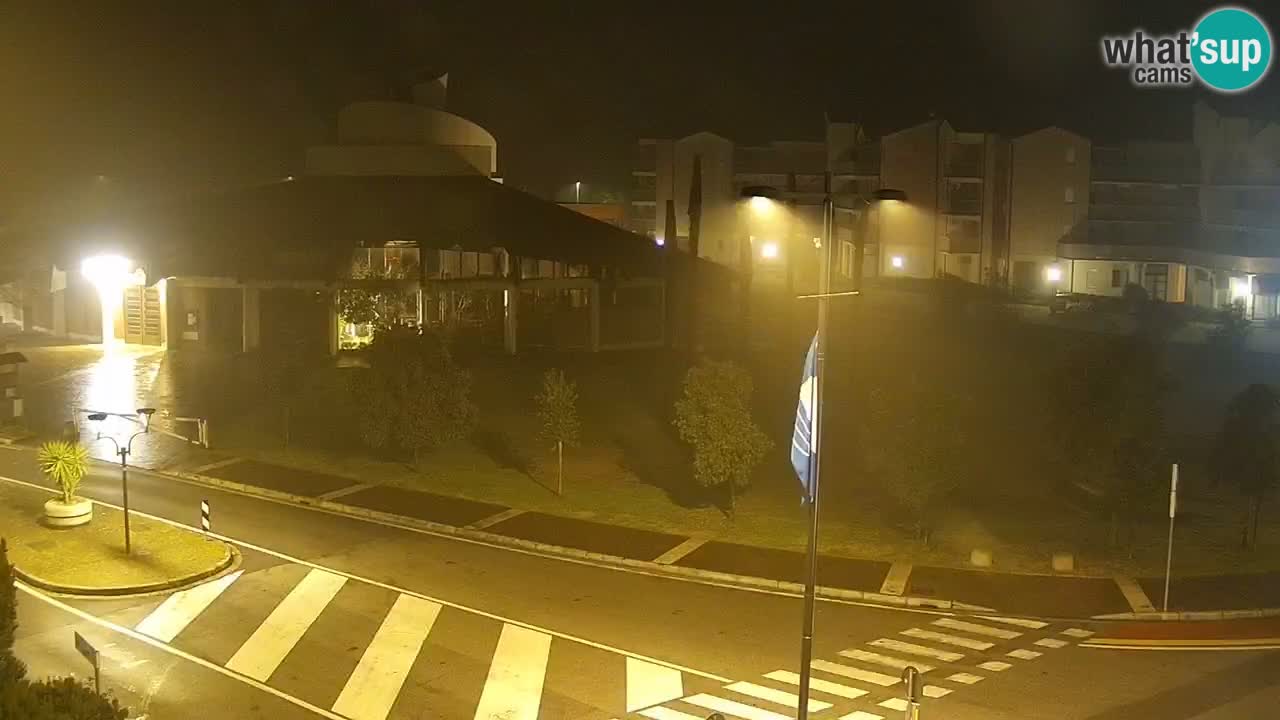 Livecam Rosolina mare