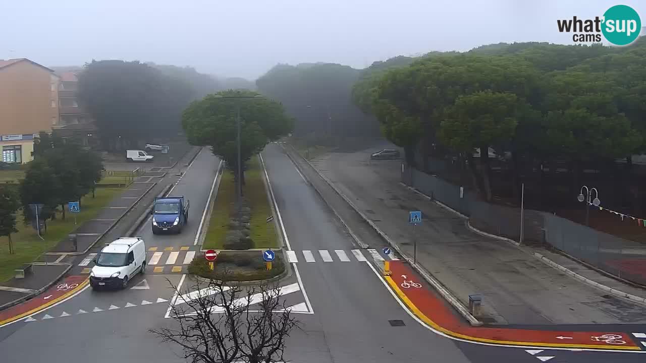 Camera en vivo Rosolina mare