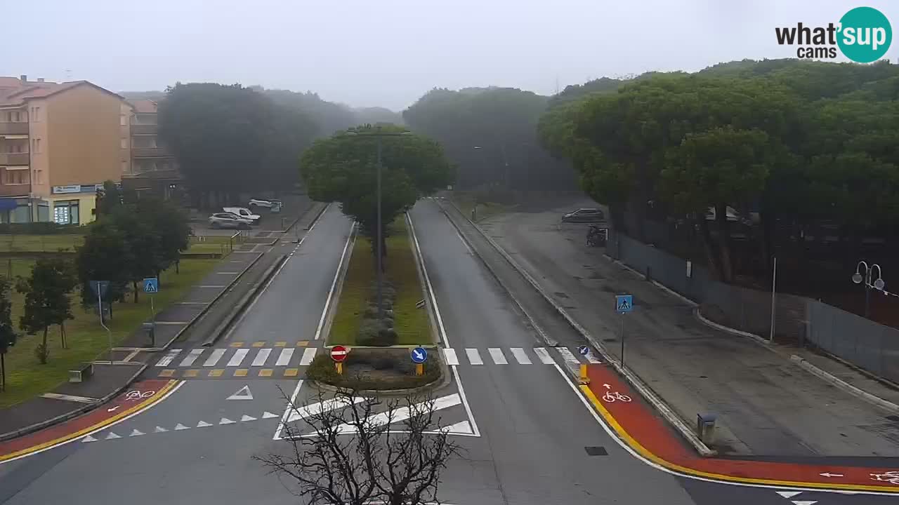 Camera en vivo Rosolina mare