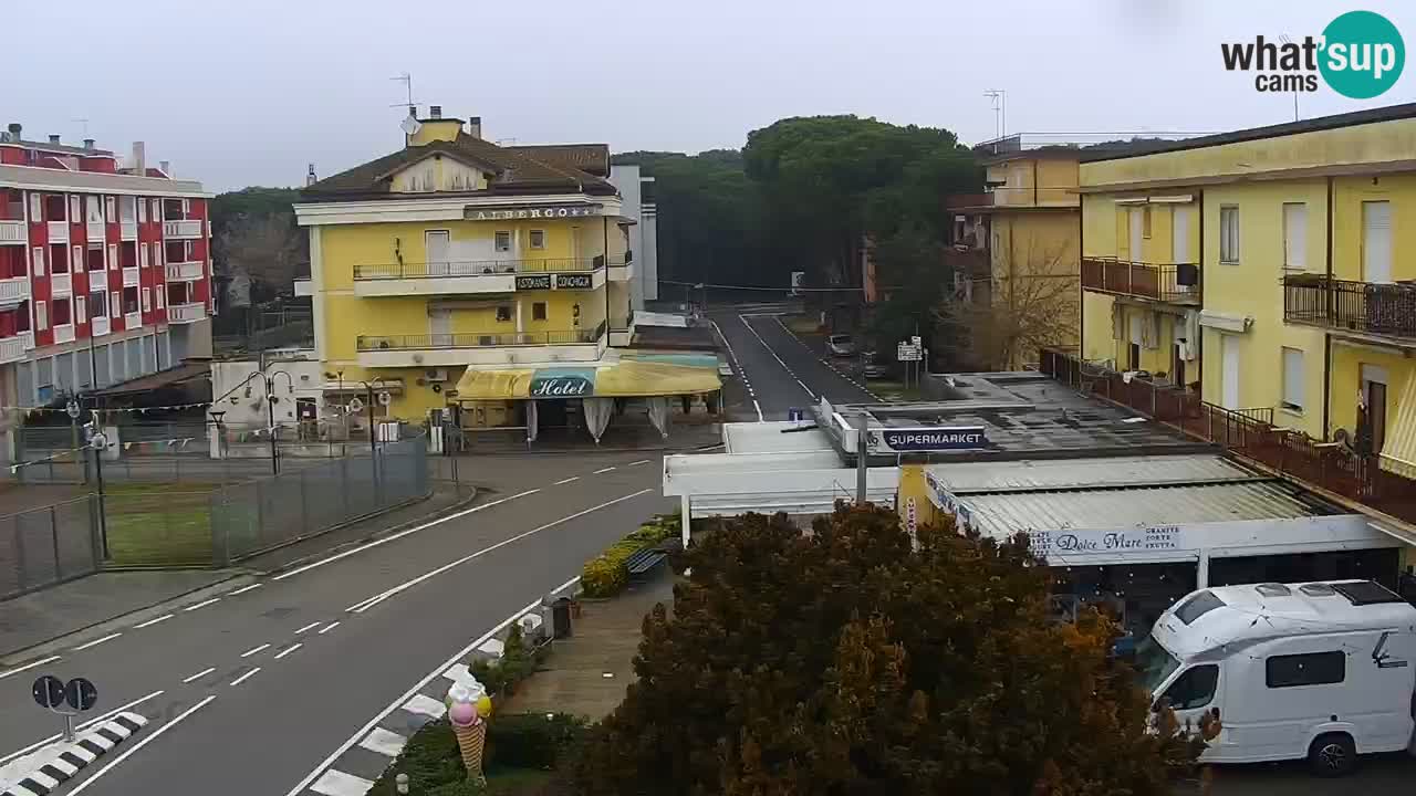 Camera en vivo Rosolina mare