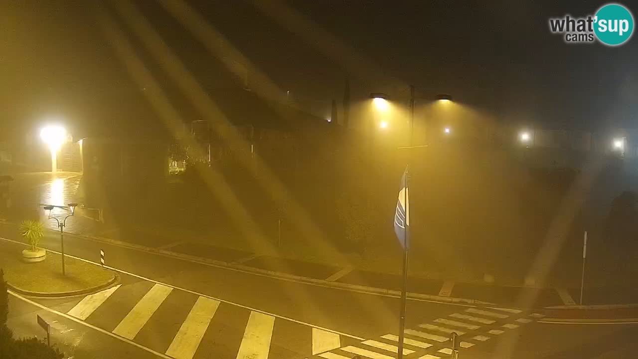 Camera en vivo Rosolina mare