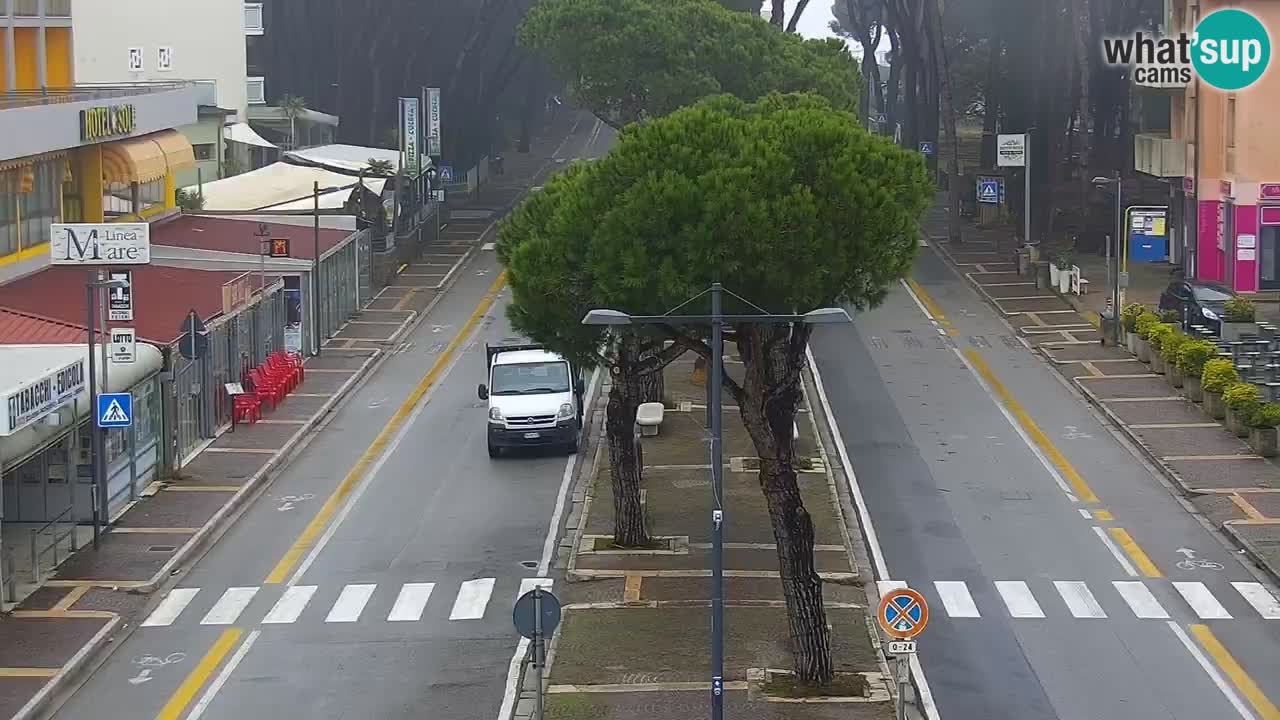 Livecam Rosolina mare