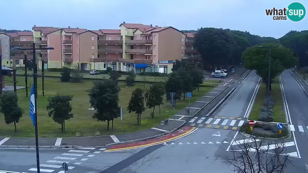 Web kamera Rosolina mare