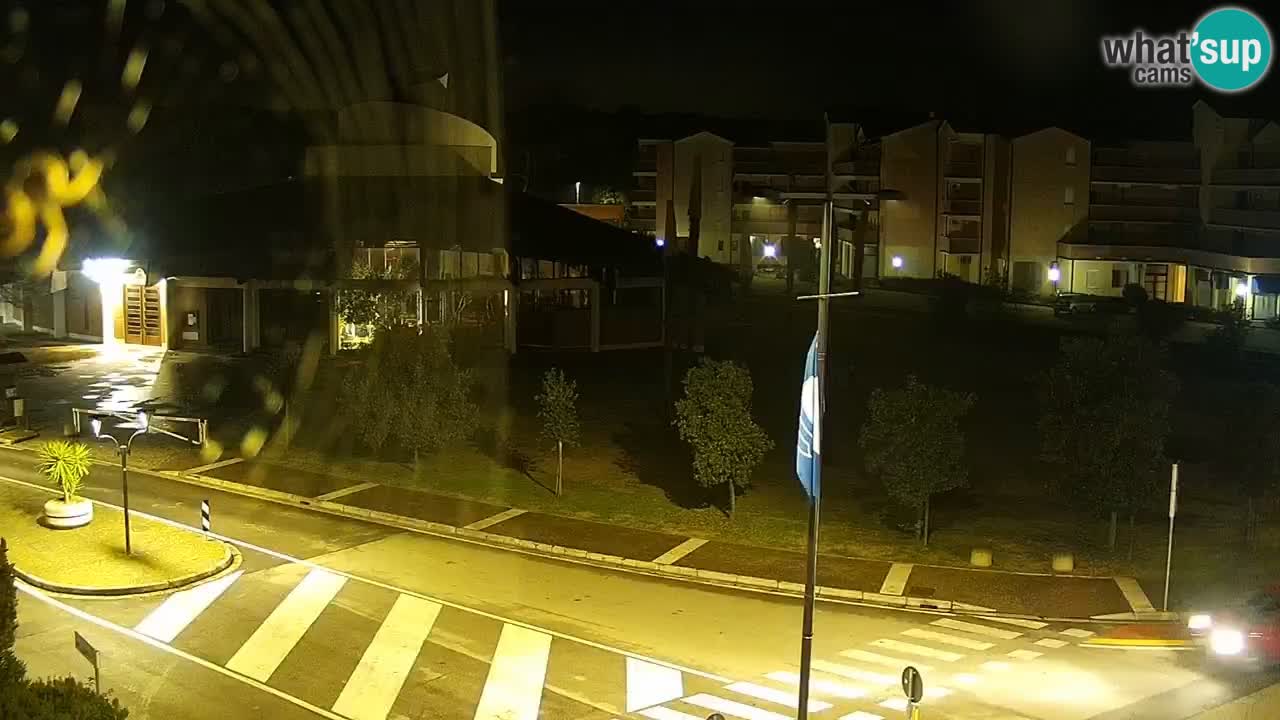 Camera en vivo Rosolina mare