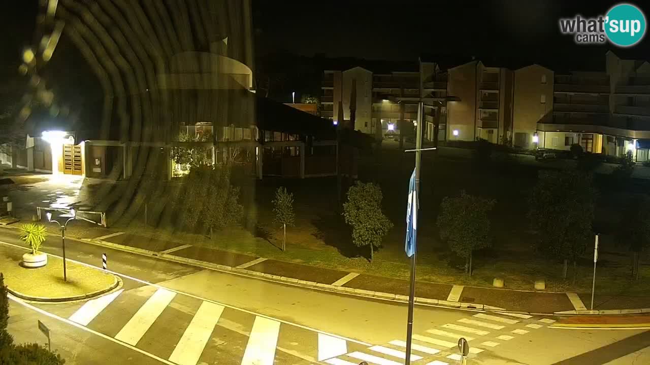 Camera en vivo Rosolina mare