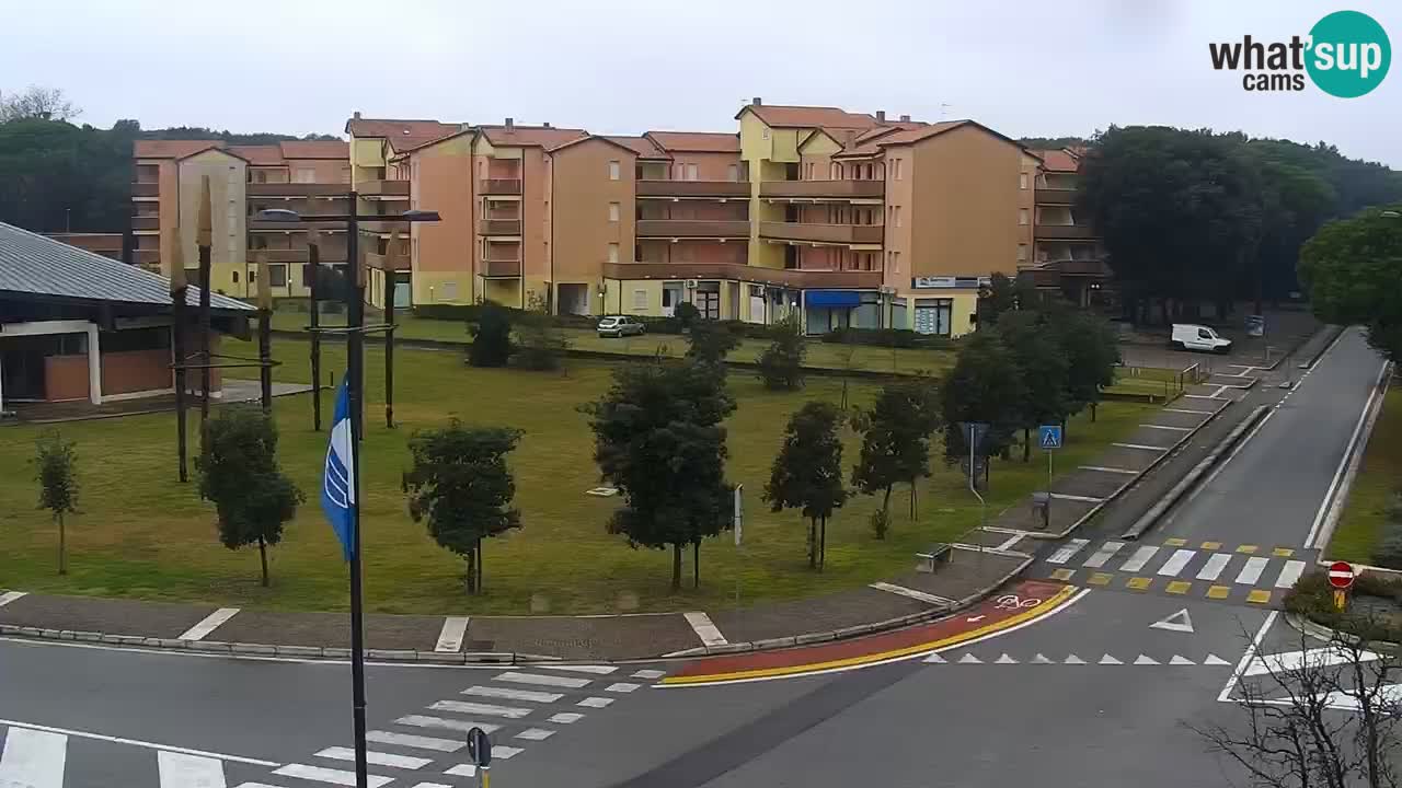 Web kamera Rosolina mare