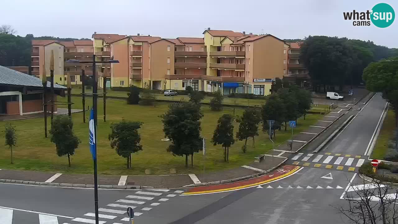 Camera en vivo Rosolina mare