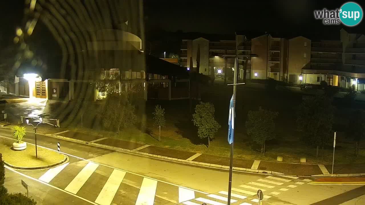 Livecam Rosolina mare