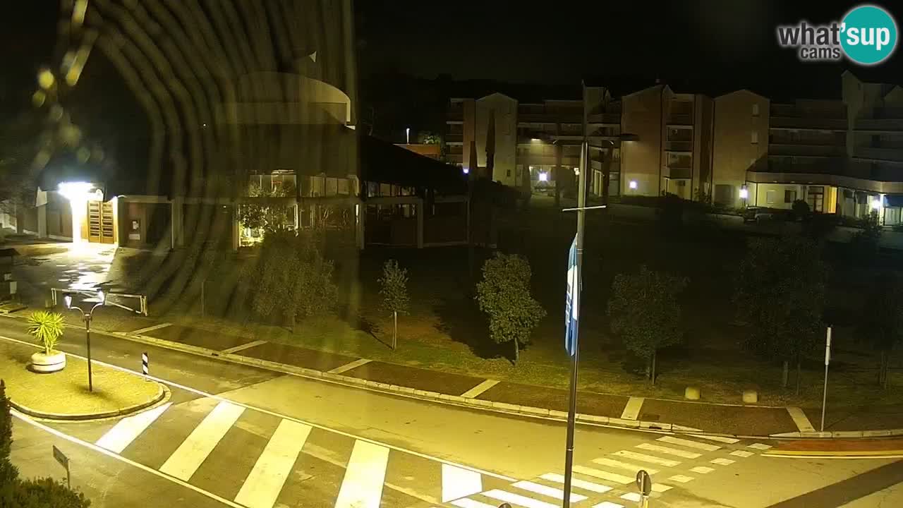 Livecam Rosolina mare