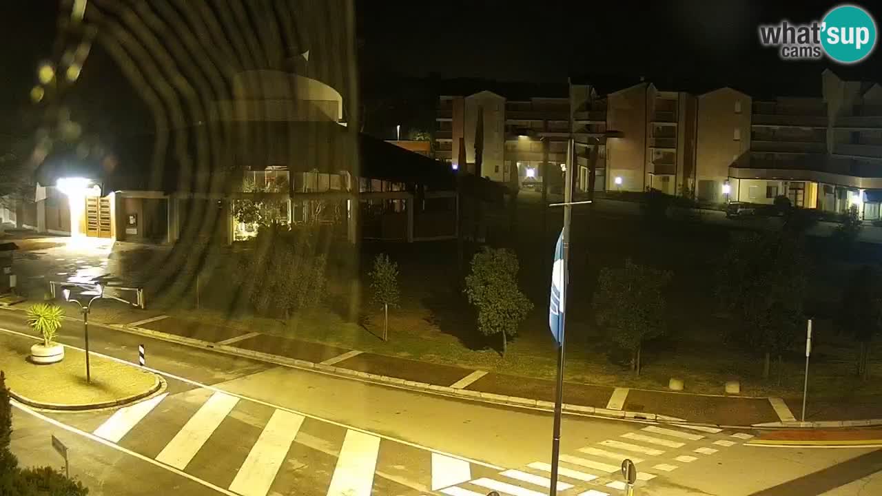 Livecam Rosolina mare