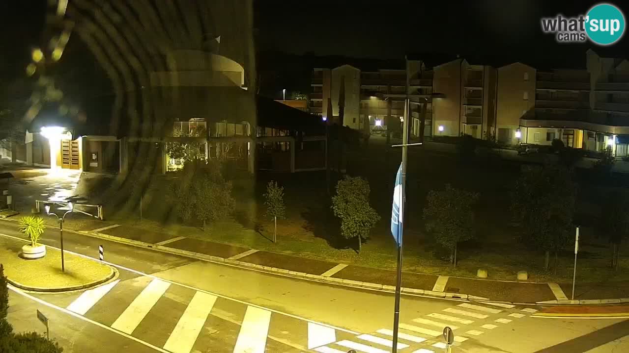 Camera en vivo Rosolina mare