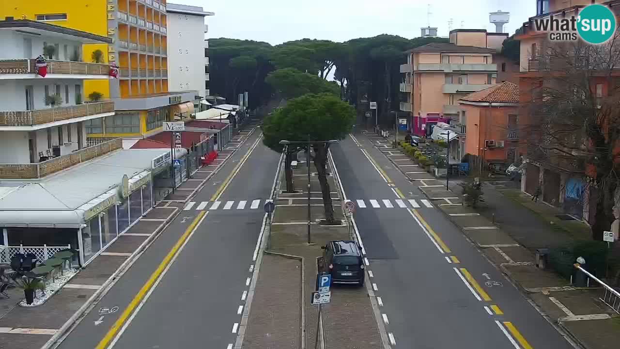 Livecam Rosolina mare