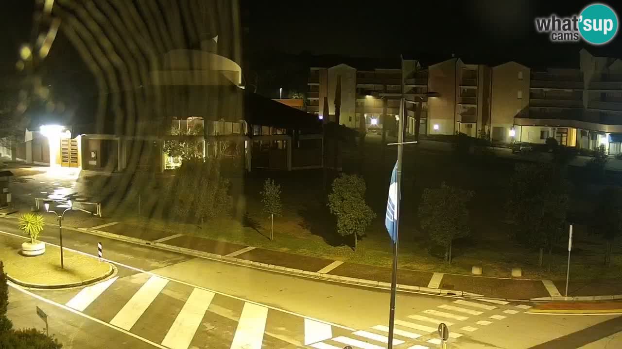 Camera en vivo Rosolina mare