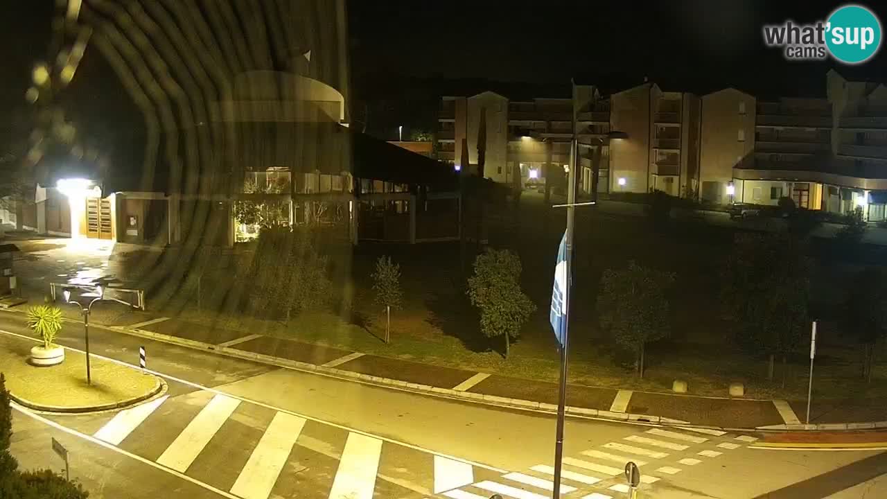 Camera en vivo Rosolina mare