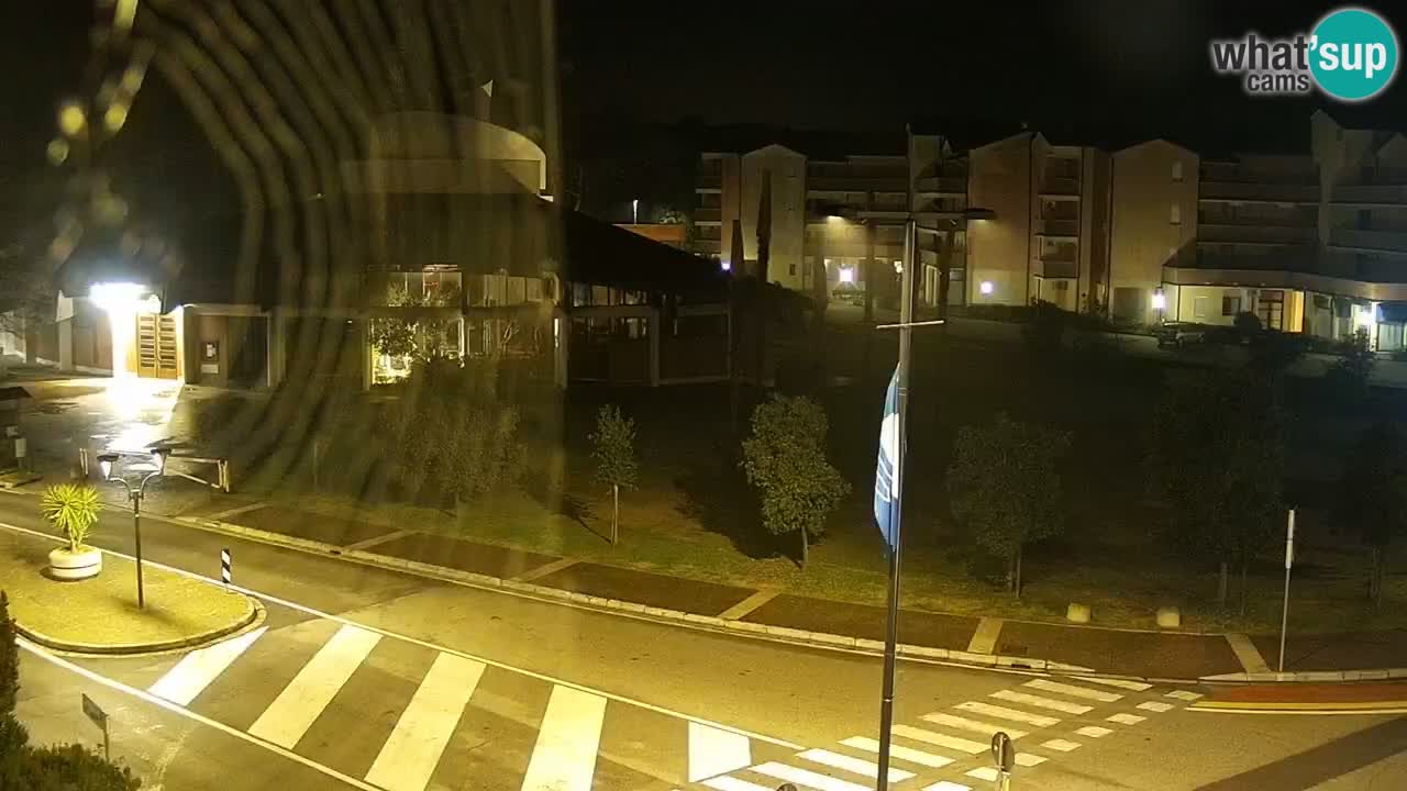 Livecam Rosolina mare