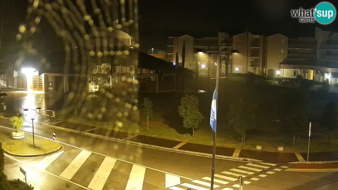 Livecam Rosolina mare