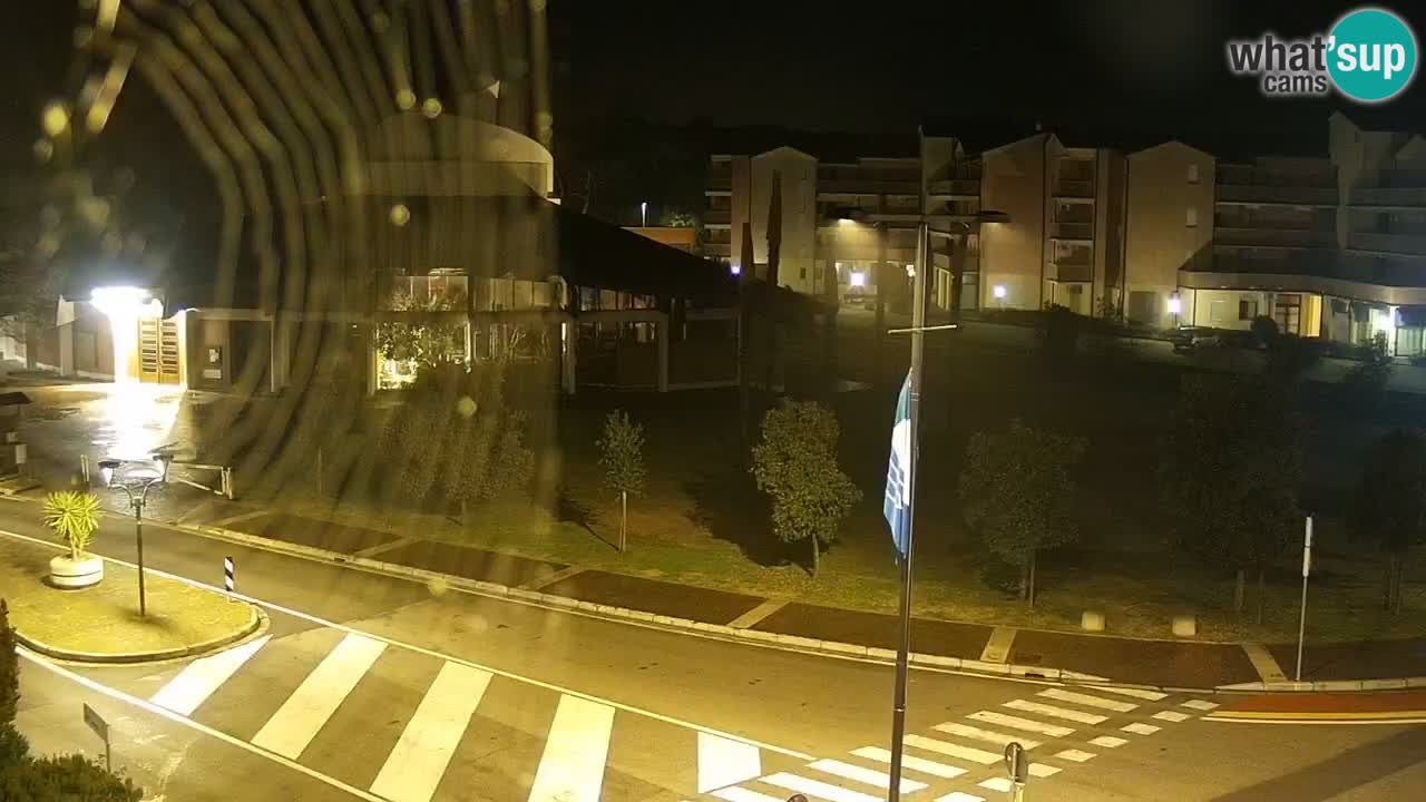 Camera en vivo Rosolina mare