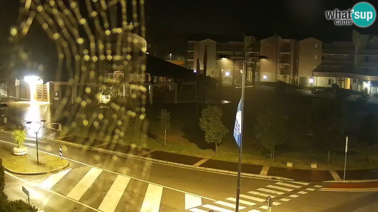 Livecam Rosolina mare