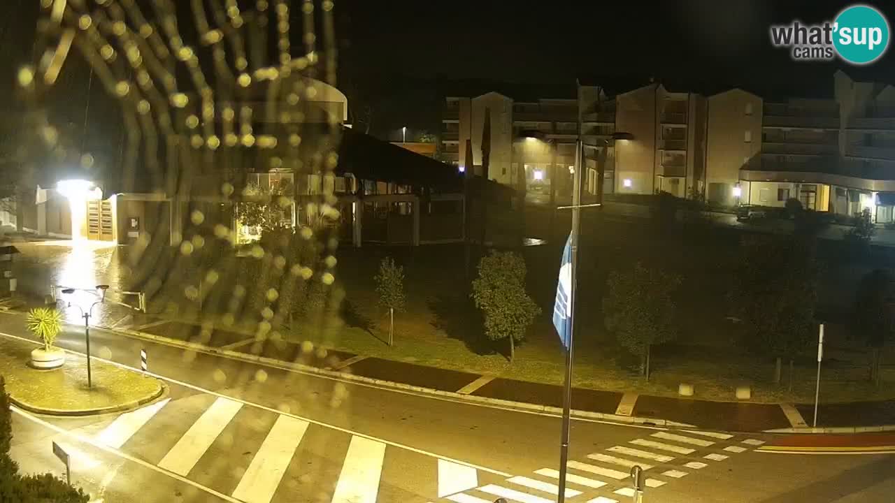 Web kamera Rosolina mare