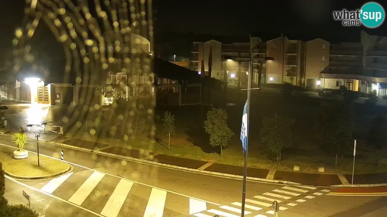 Camera en vivo Rosolina mare