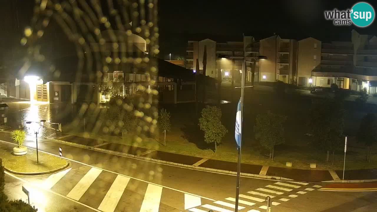 Livecam Rosolina mare