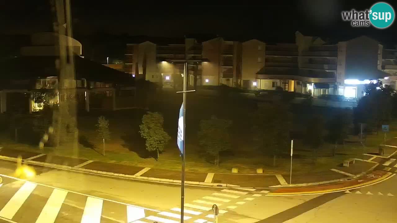 Livecam Rosolina mare