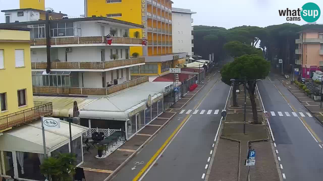 Web kamera Rosolina mare