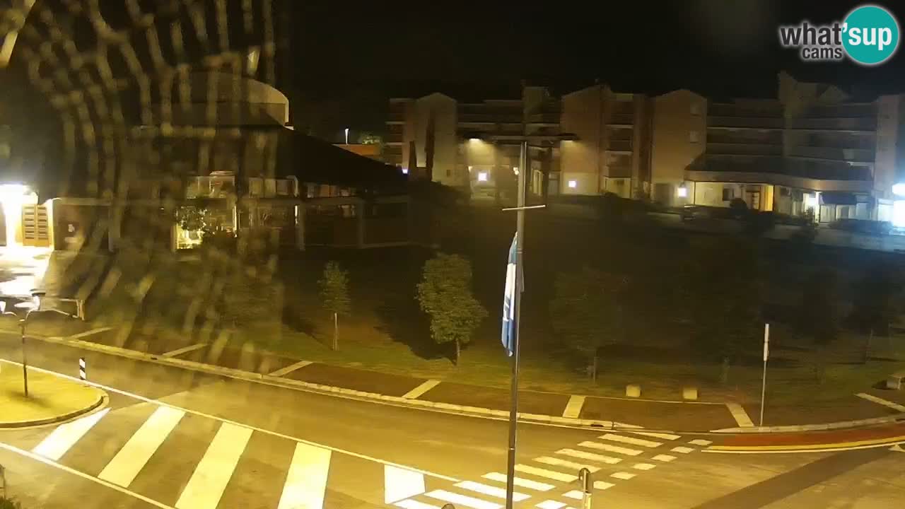 Camera en vivo Rosolina mare