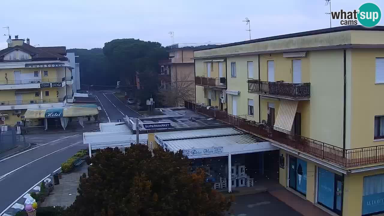 Camera en vivo Rosolina mare