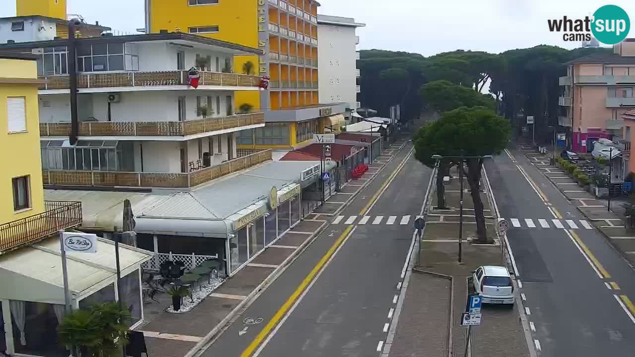 Camera en vivo Rosolina mare