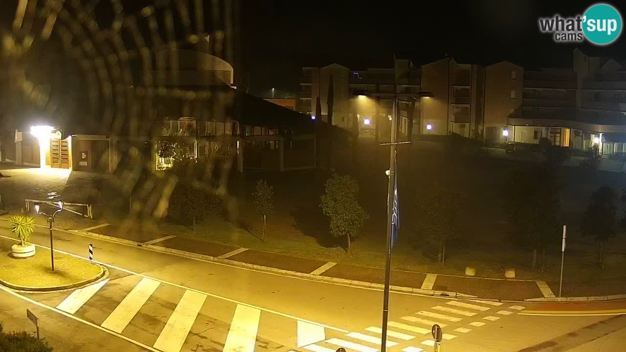 Livecam Rosolina mare