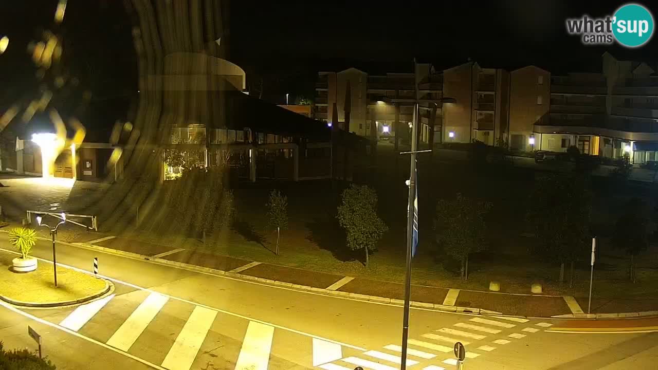 Camera en vivo Rosolina mare