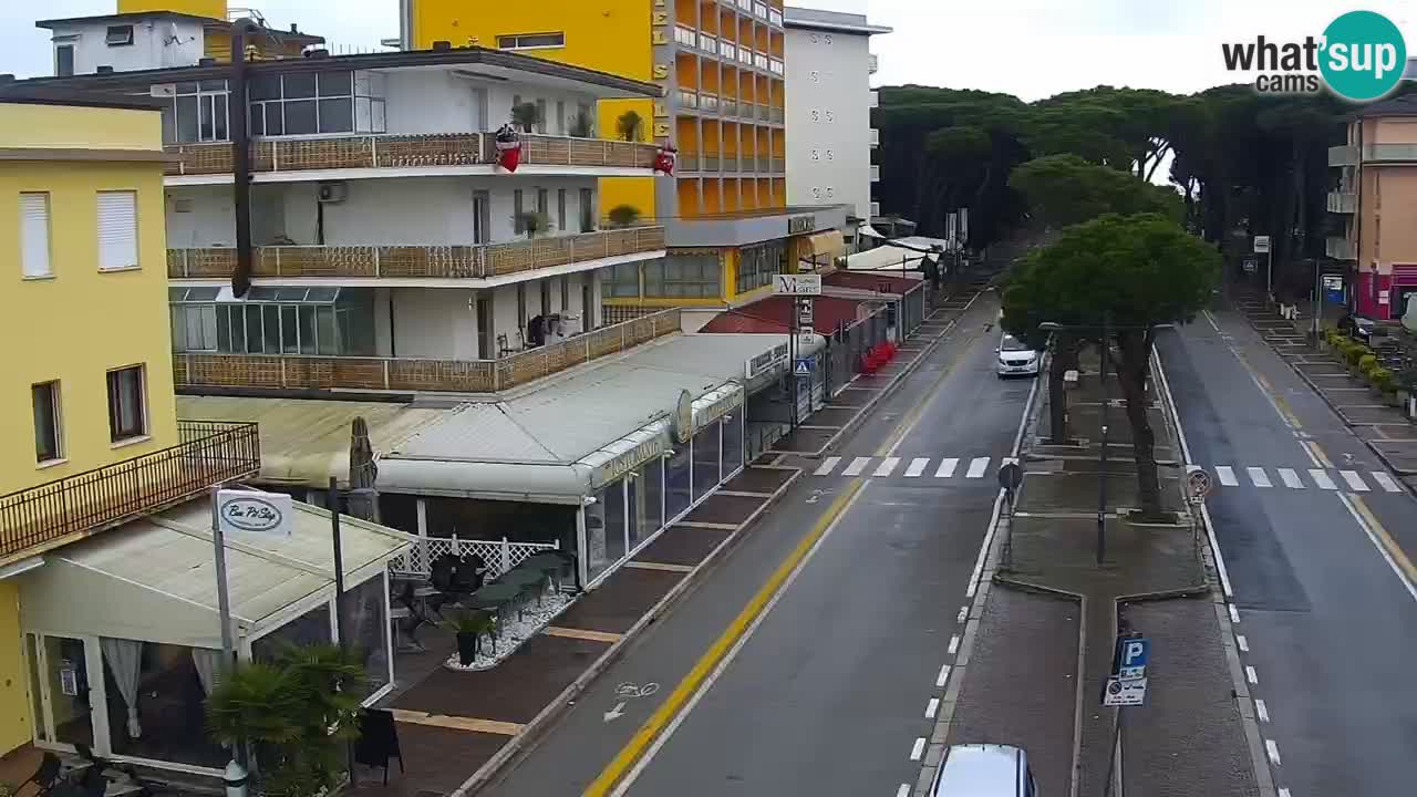 Livecam Rosolina mare