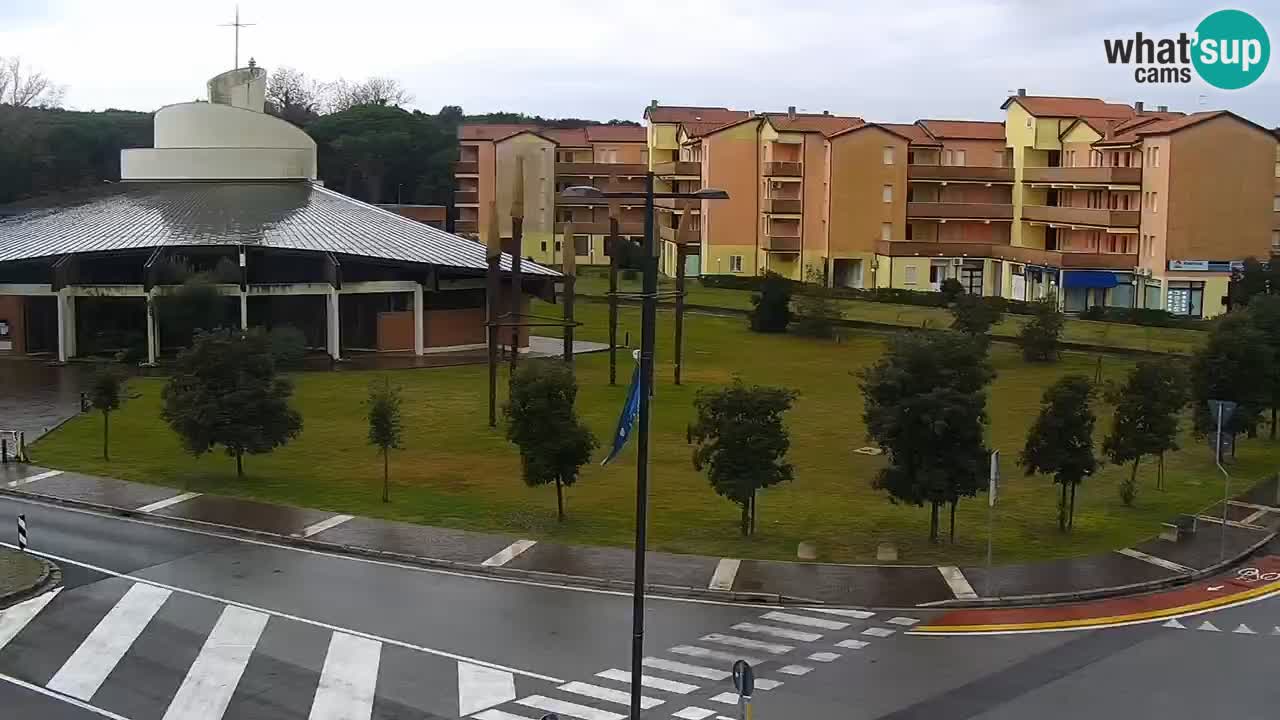 Camera en vivo Rosolina mare